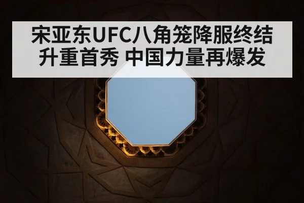 UFC octagon