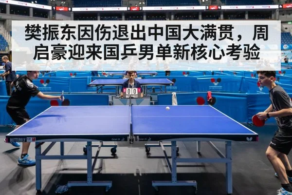 樊振东因伤退出中国大满贯，周启豪迎来国乒男单新核心考验